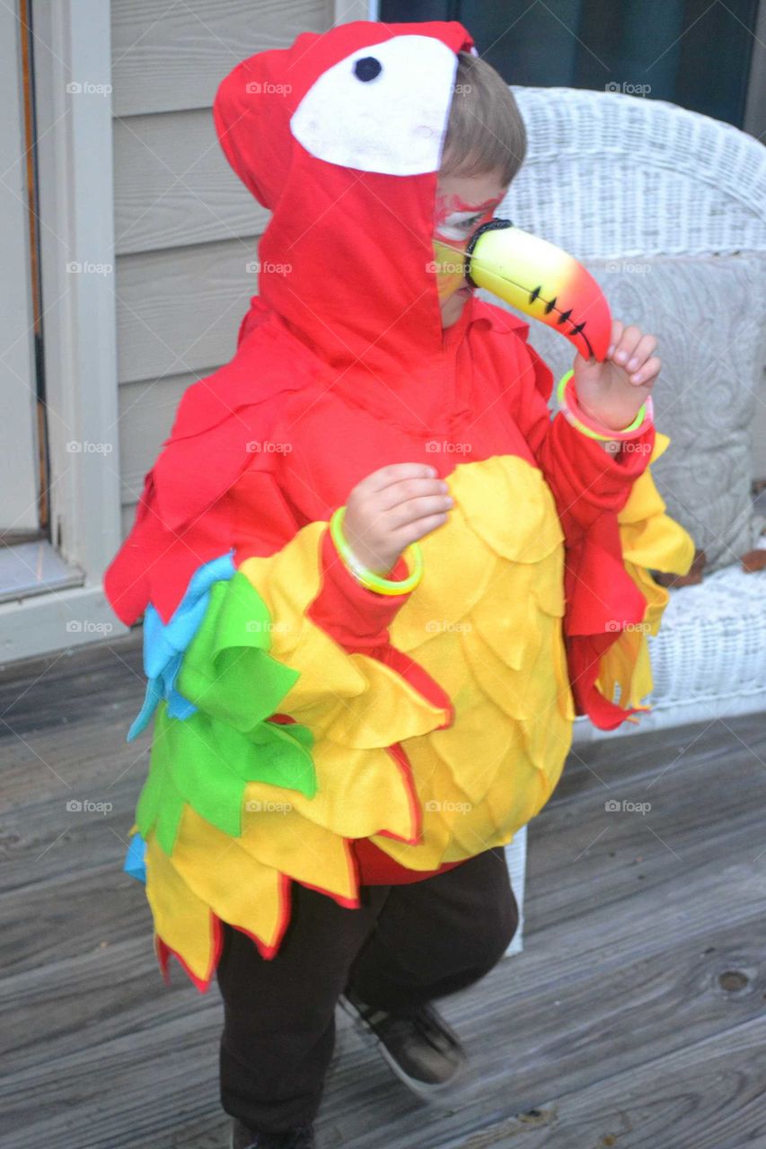 child Halloween colorful parrot costume