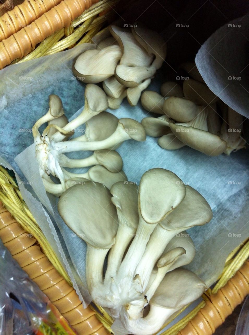 mushrooms at tailgate market