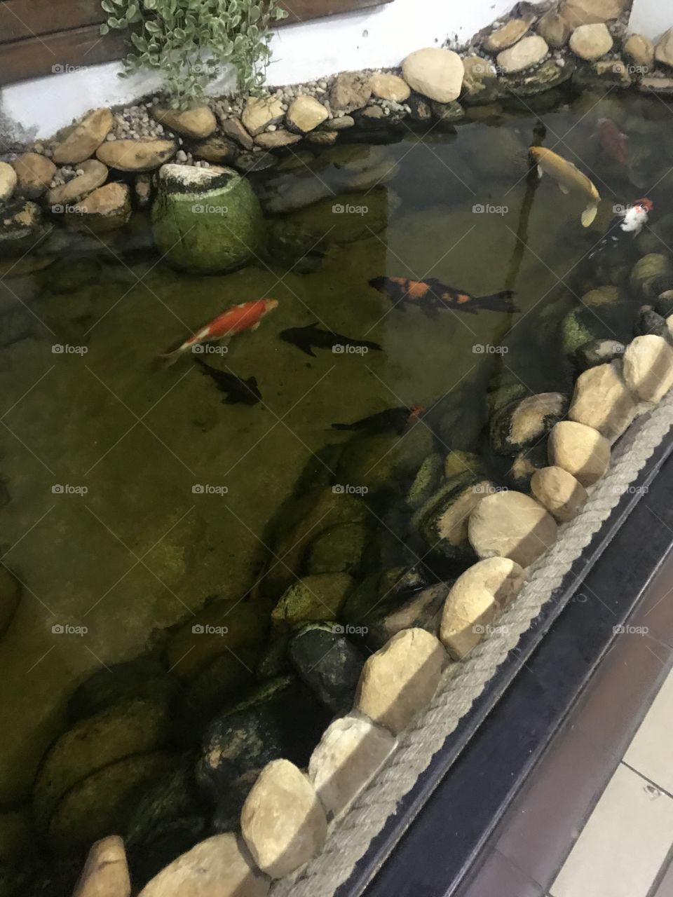 Fish pond light show in highways of Brazil