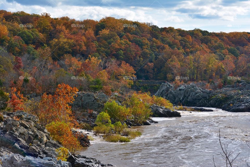 Autumn River