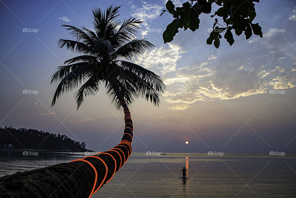 The beauty of coconut trees and tourists walking in the sea during sunset at Haad salad Beach , koh Phangan in Suratthani Thailand.