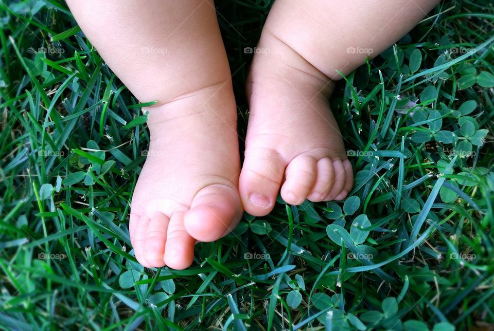 toes in the grass