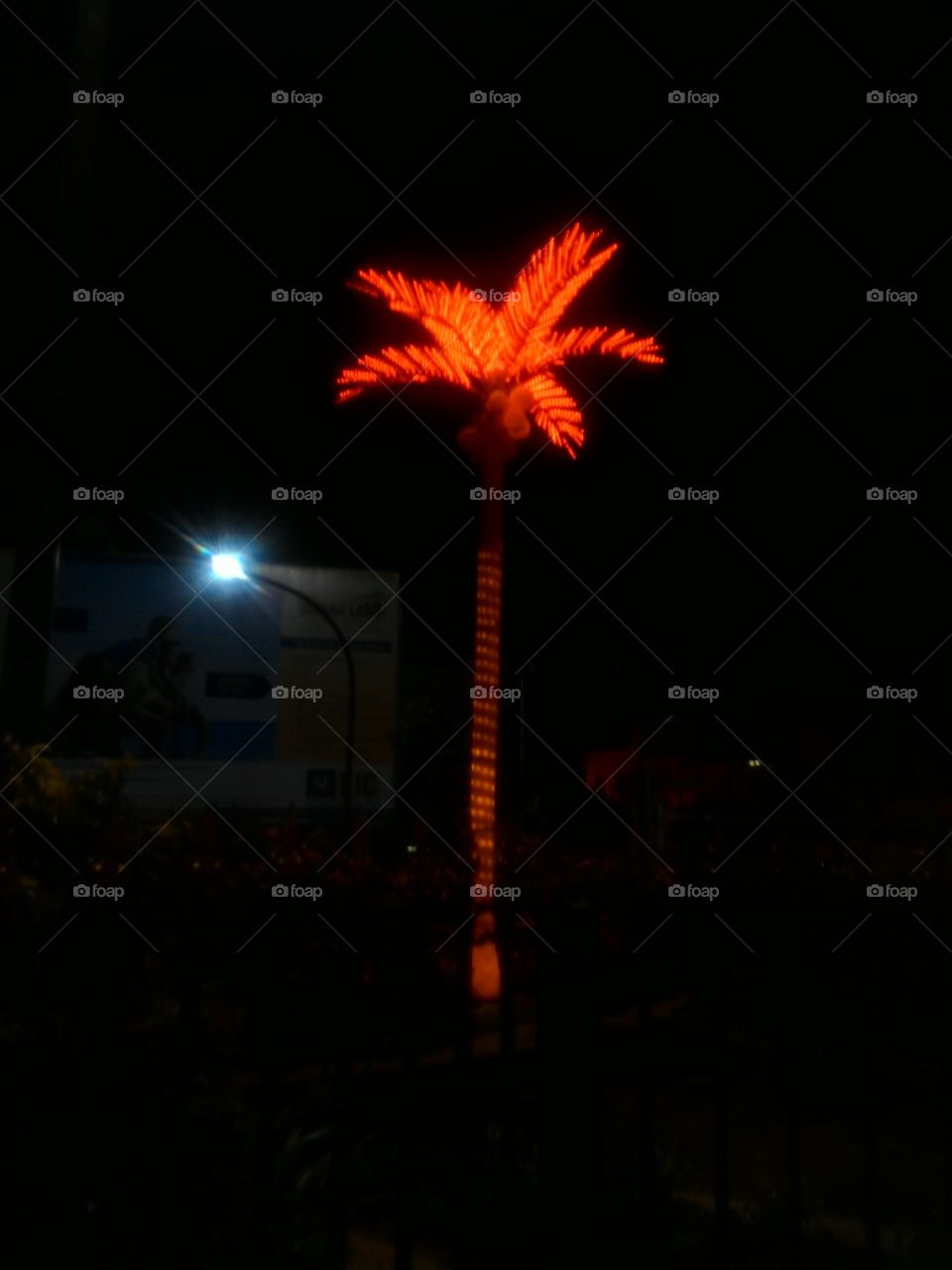 lit palm tree