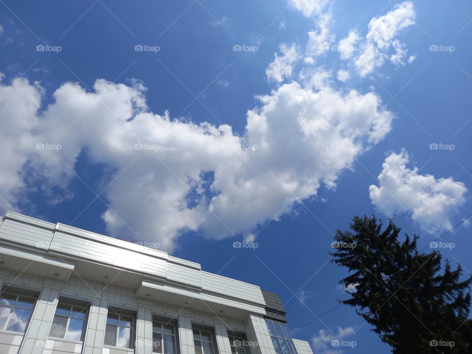 Blue blue sky and tender clouds