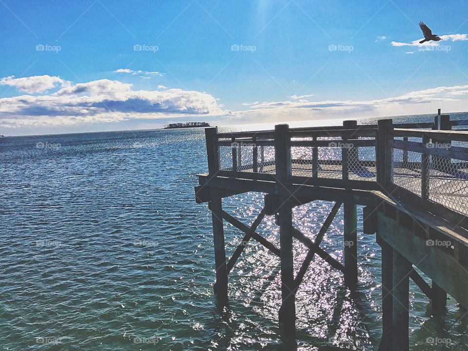 Pier and bird