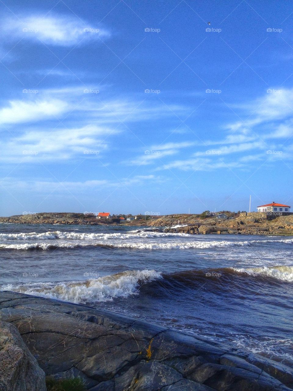 A very windy afternoon