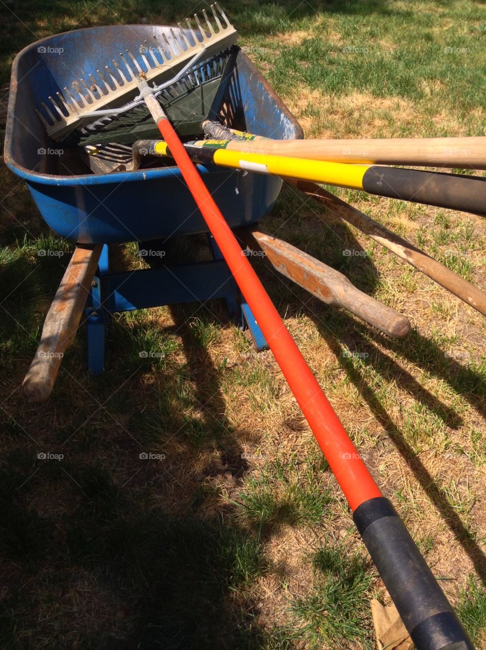 Wheelbarrow of gardening tools. Wheelbarrow of gardening tools
