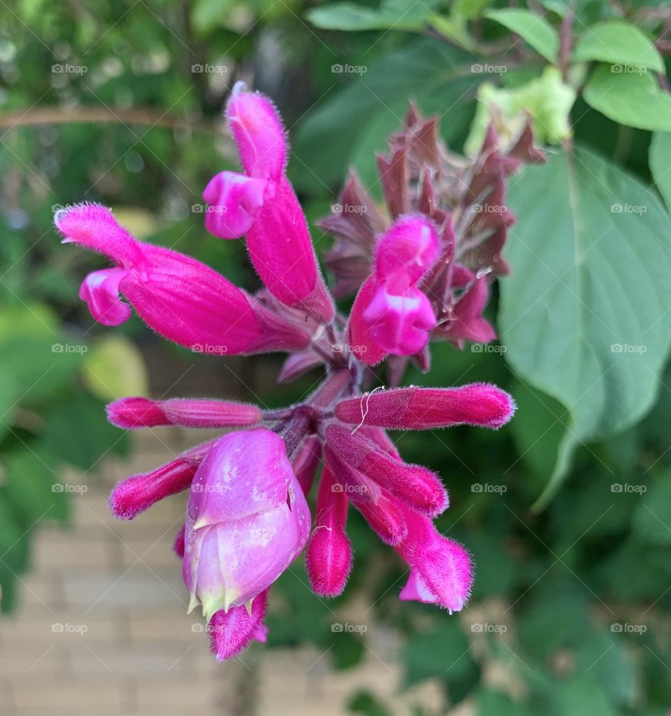 “Be patient with yourself because life is like a flower, nothing in nature blooms all year."