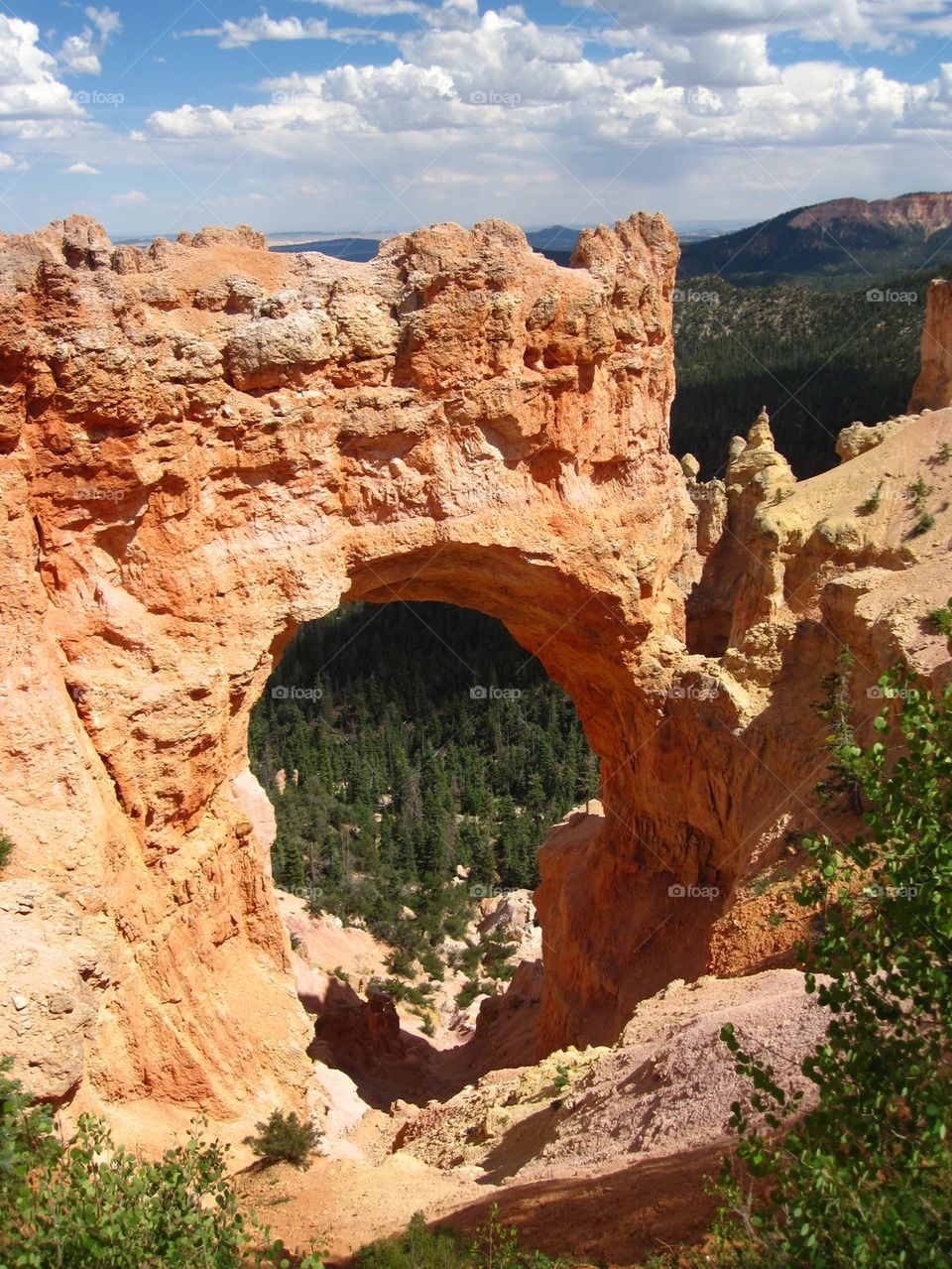 Bryce canyon arch