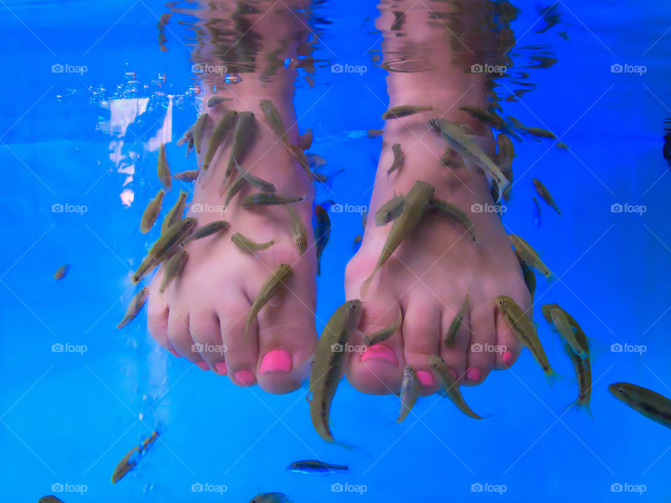 Fish pedicure. Spa.