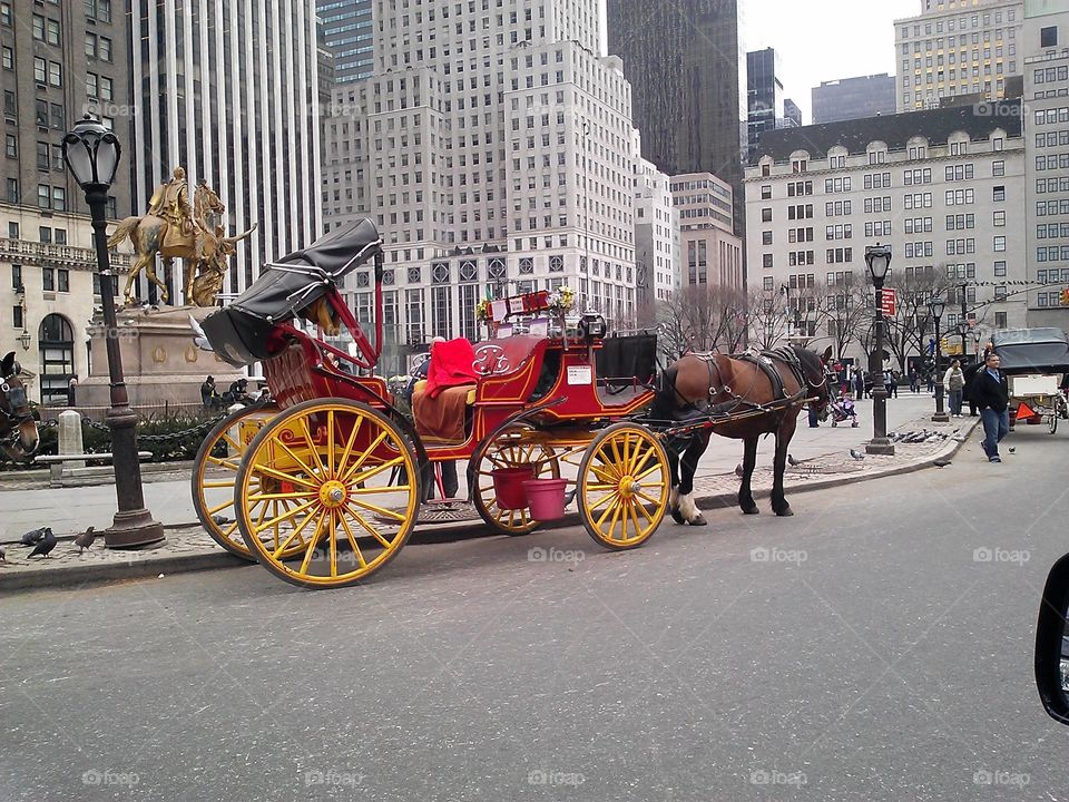 New York Horse Drawn Carriage