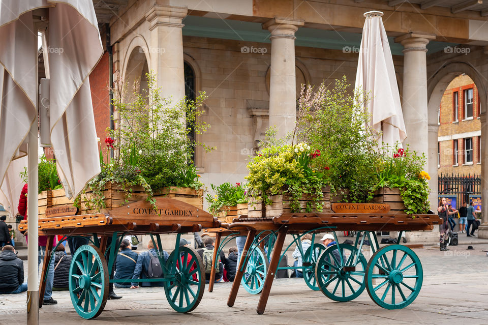 Carts full of flowers on display in old flower and vegetable market place. Covent Garden Market. London. UK