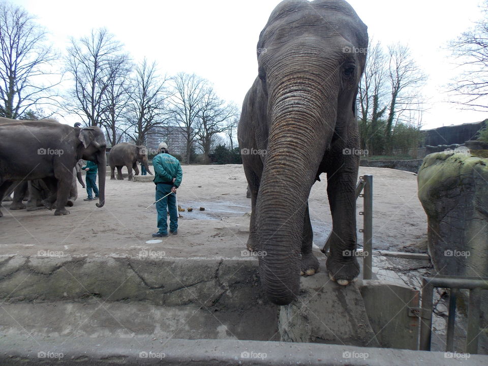 Tierpark