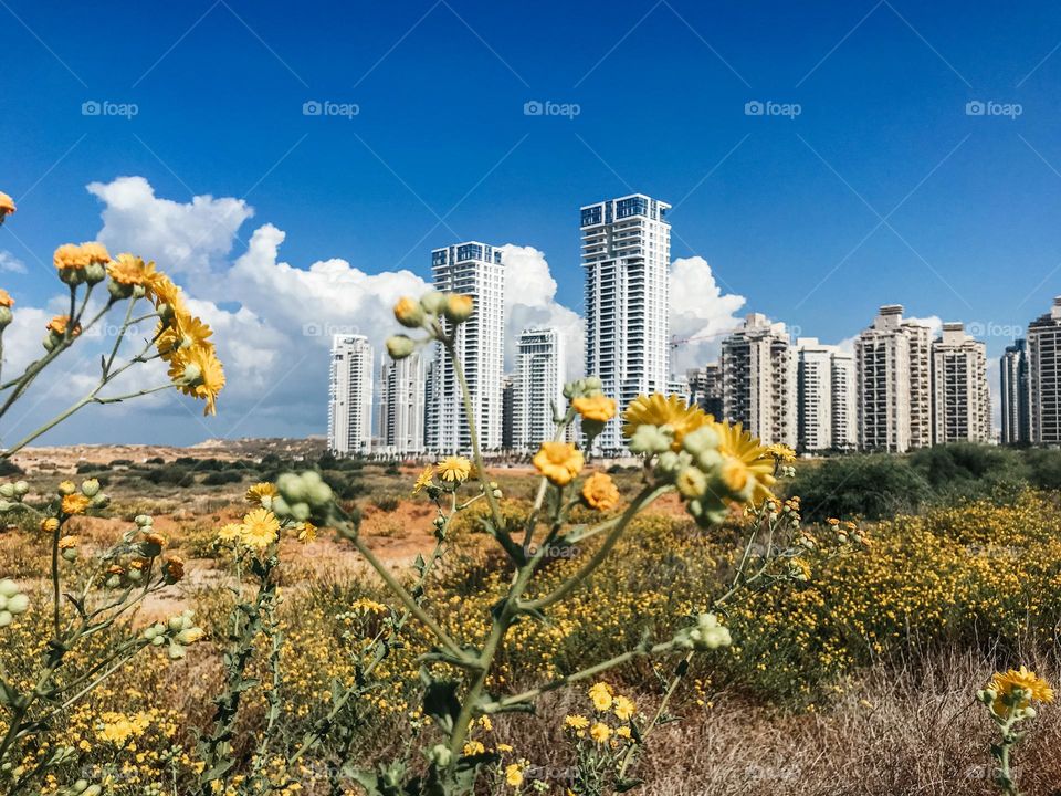 New buildings, modern architecture, residential district in Israel 