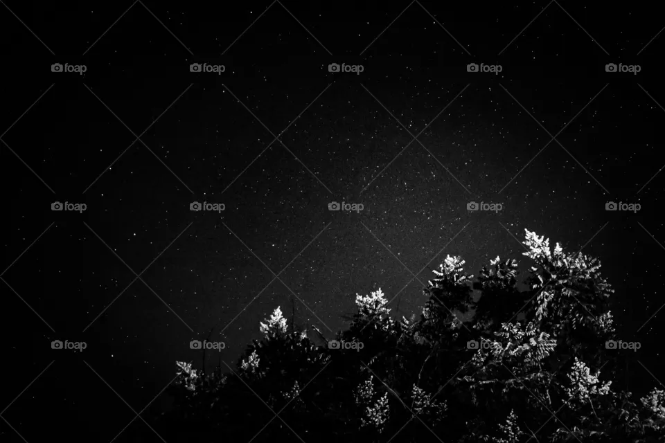 Night Sky