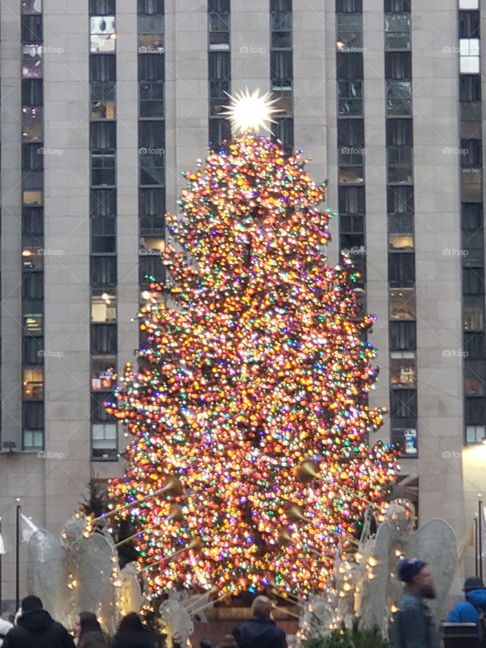 Christmas tree 2019, Rockefeller Center, New York City