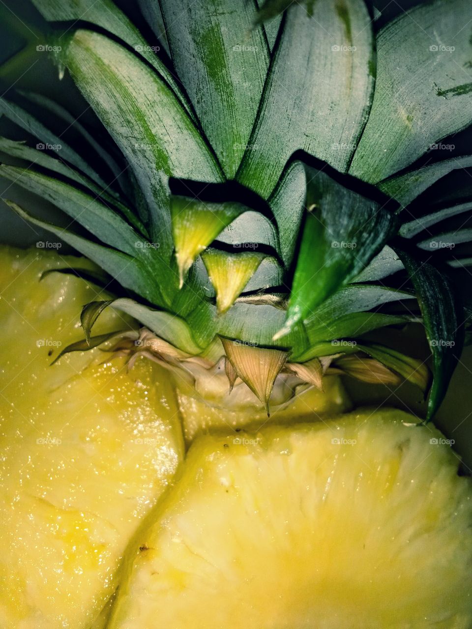 heart of fresh exotic pineapple