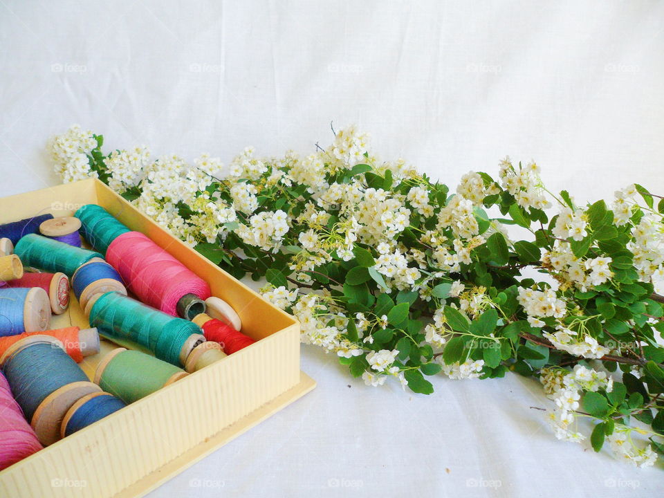 white spring flowers and multi-colored thread for sewing on a white background