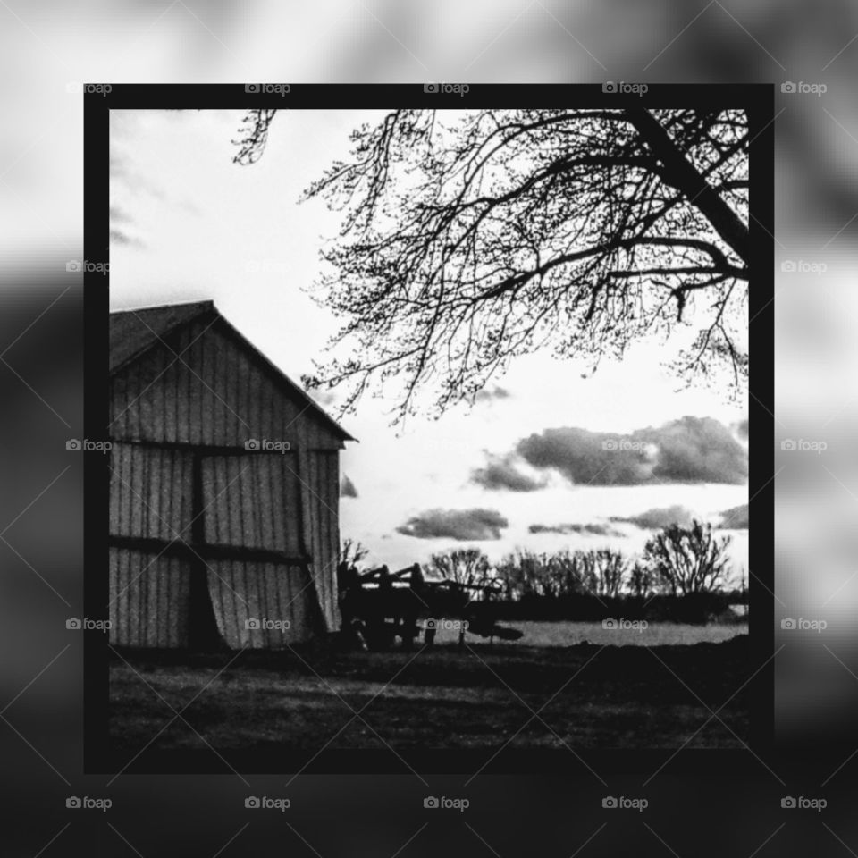 Window, Nature, Landscape, Monochrome, Winter