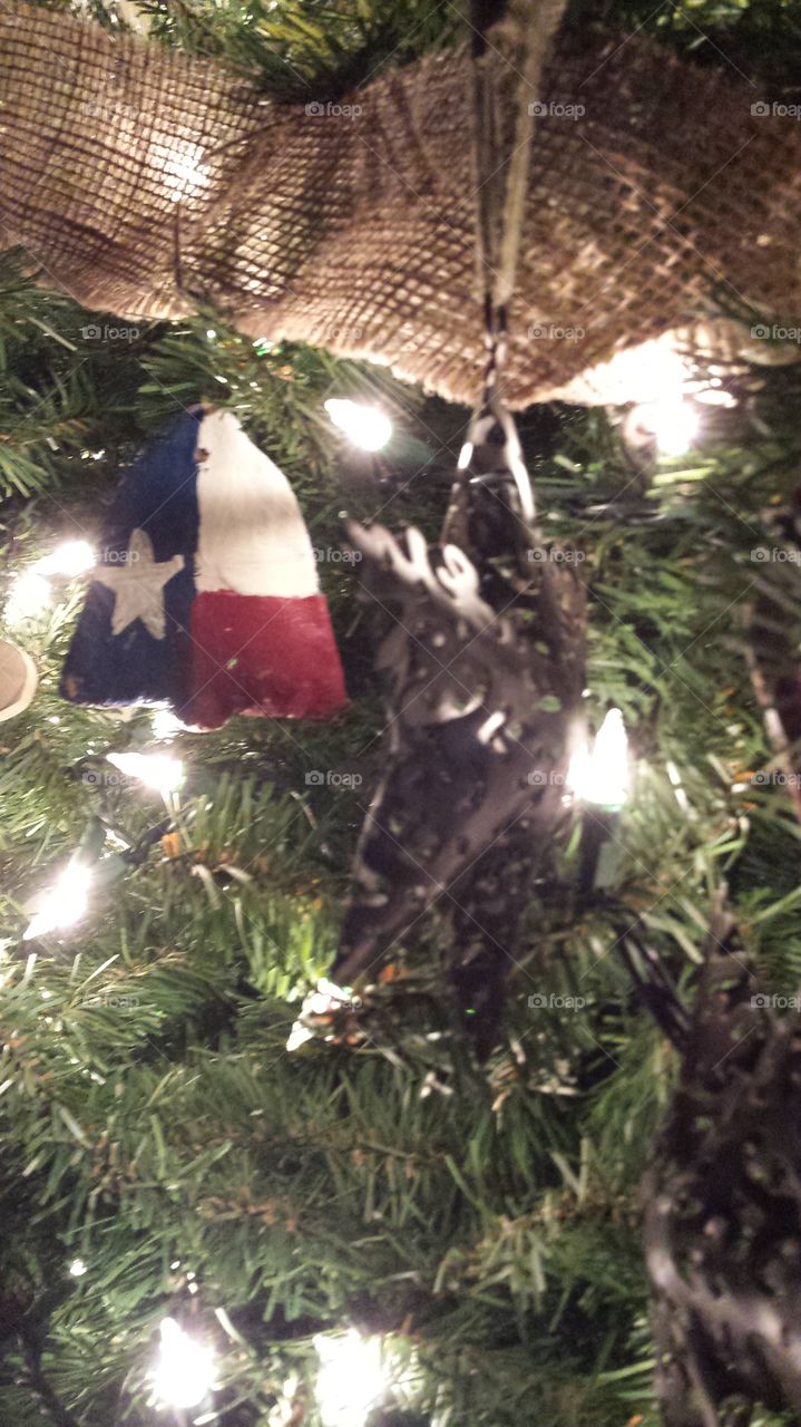 Texas flag on the tree