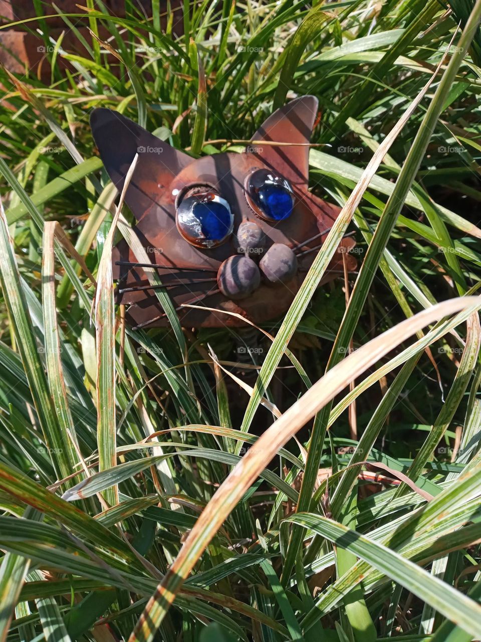 What's that doing here?