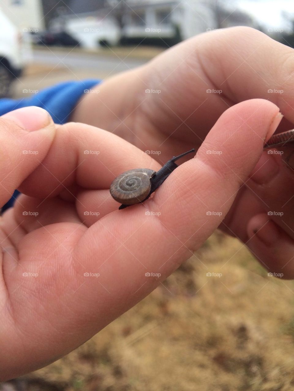 Snail hand