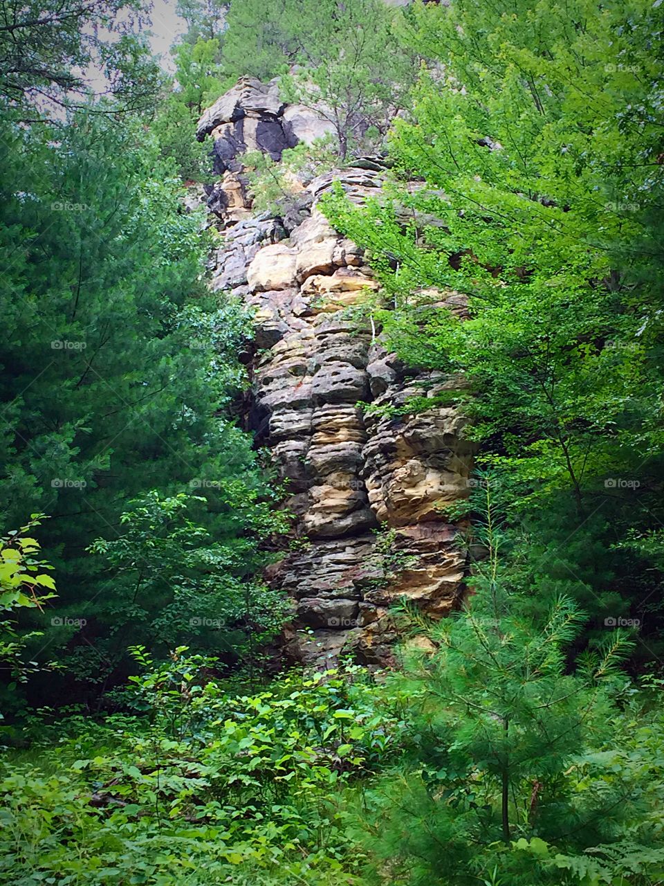 Mill Bluff Erosion. One example of erosion occurring in the sandstone and dolomite that makes up Mill Bluff at Mill Bluff State Park in WI.