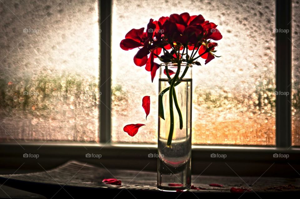 When the last petal falls