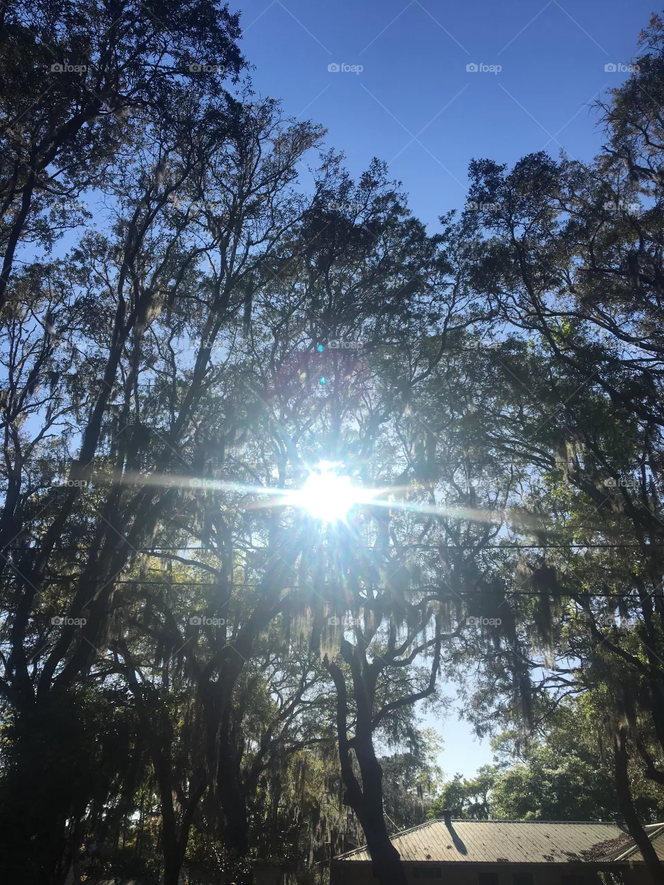 Nature