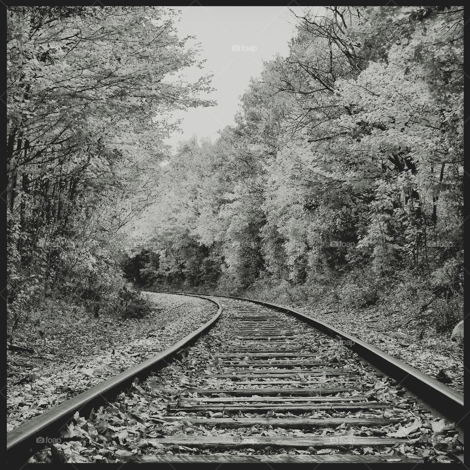 Old railroad tracks on a fall day in Indiana in black and white 