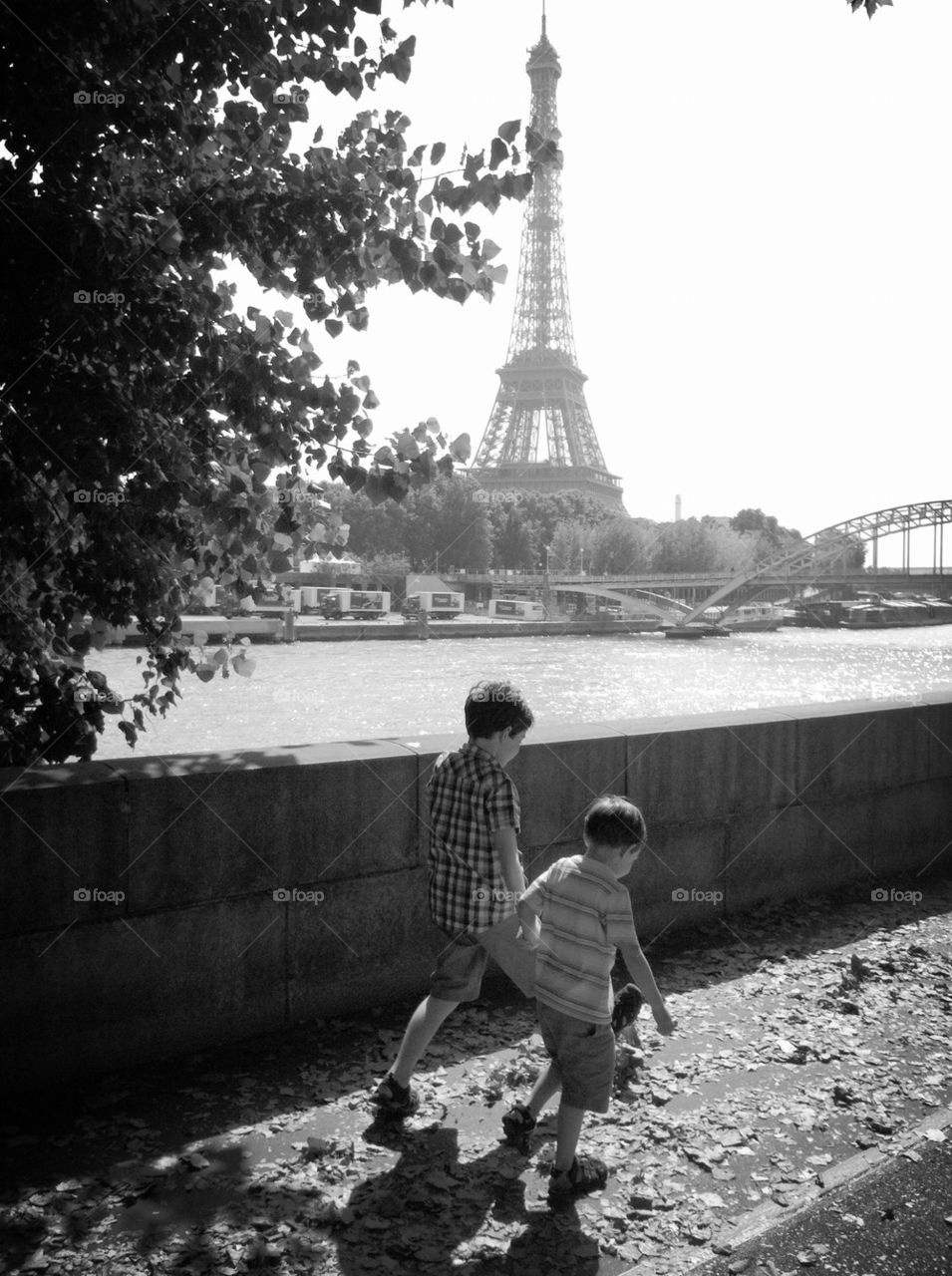 Brothers in Paris