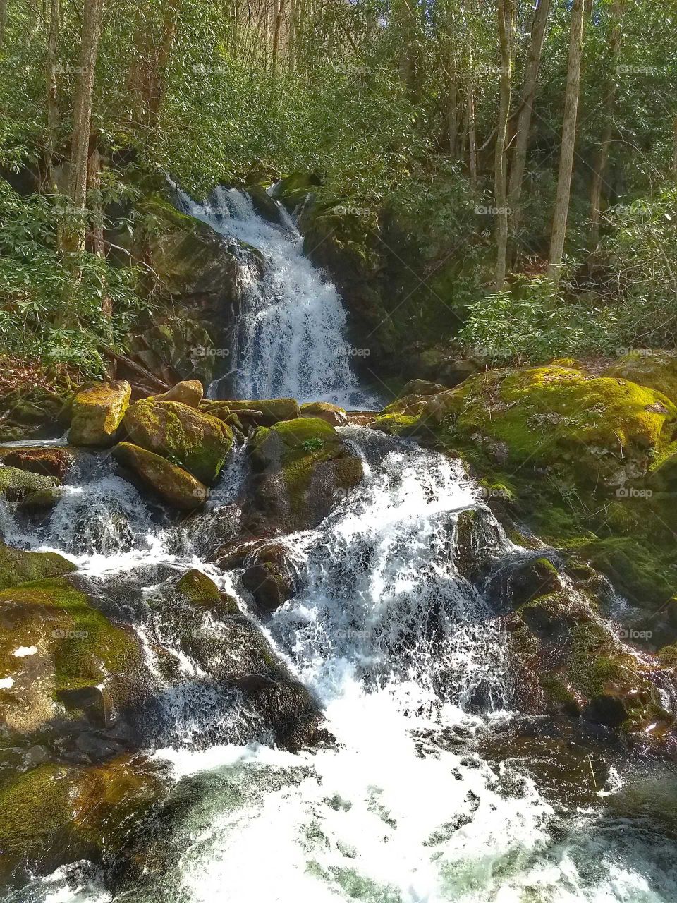 mouse creek falls