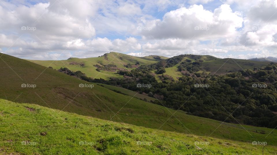 hiking on wild cat park