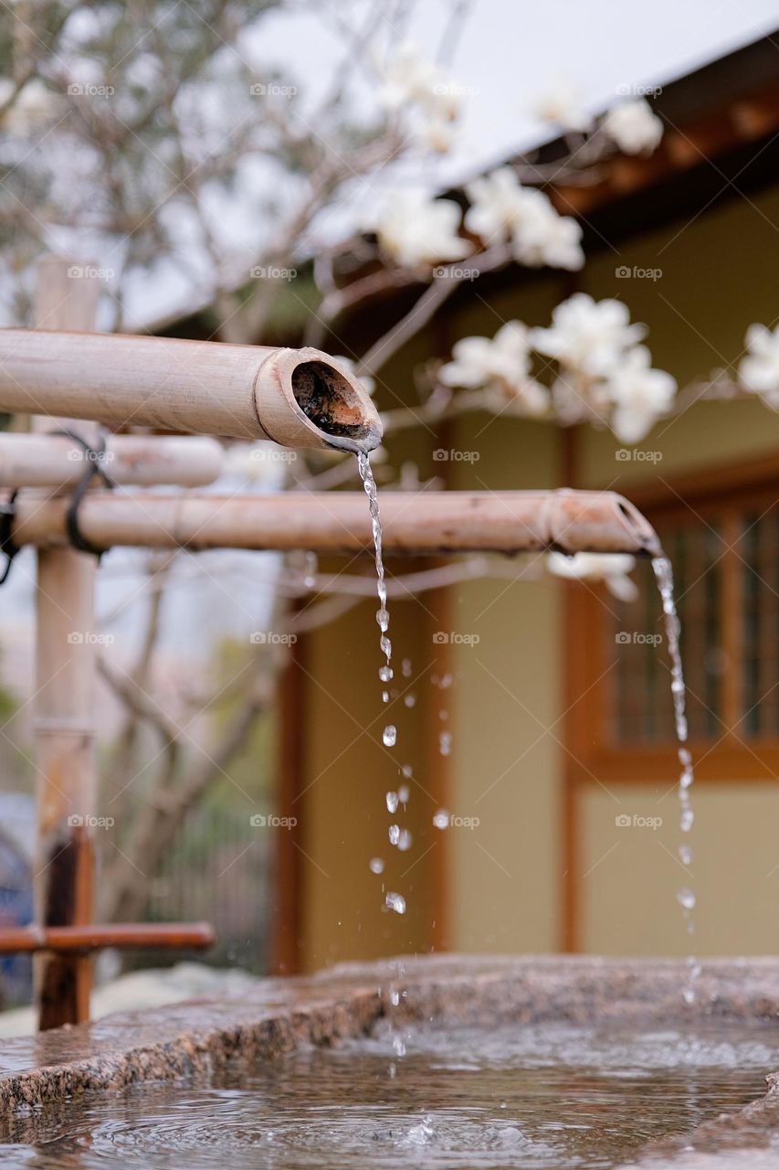 beautiful spring moment