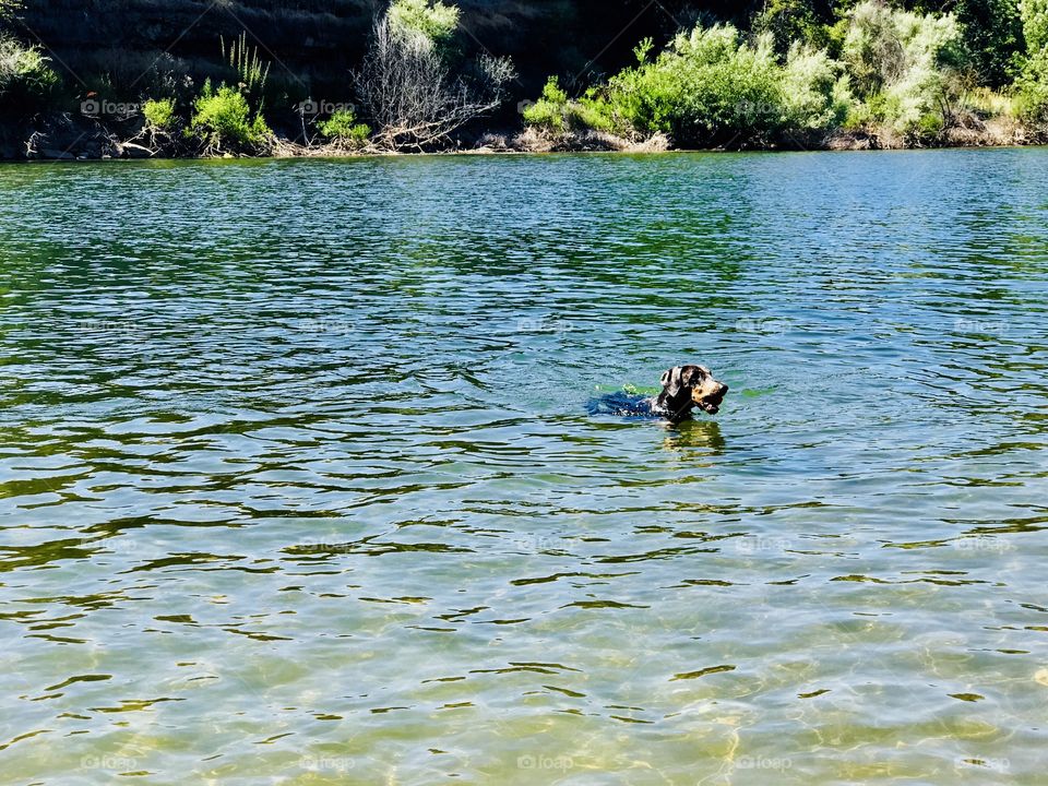 Cooling off for the got day 