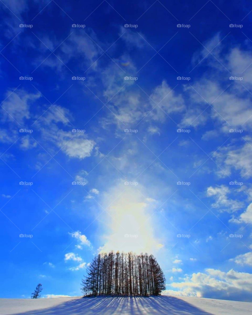 lights vz artificial