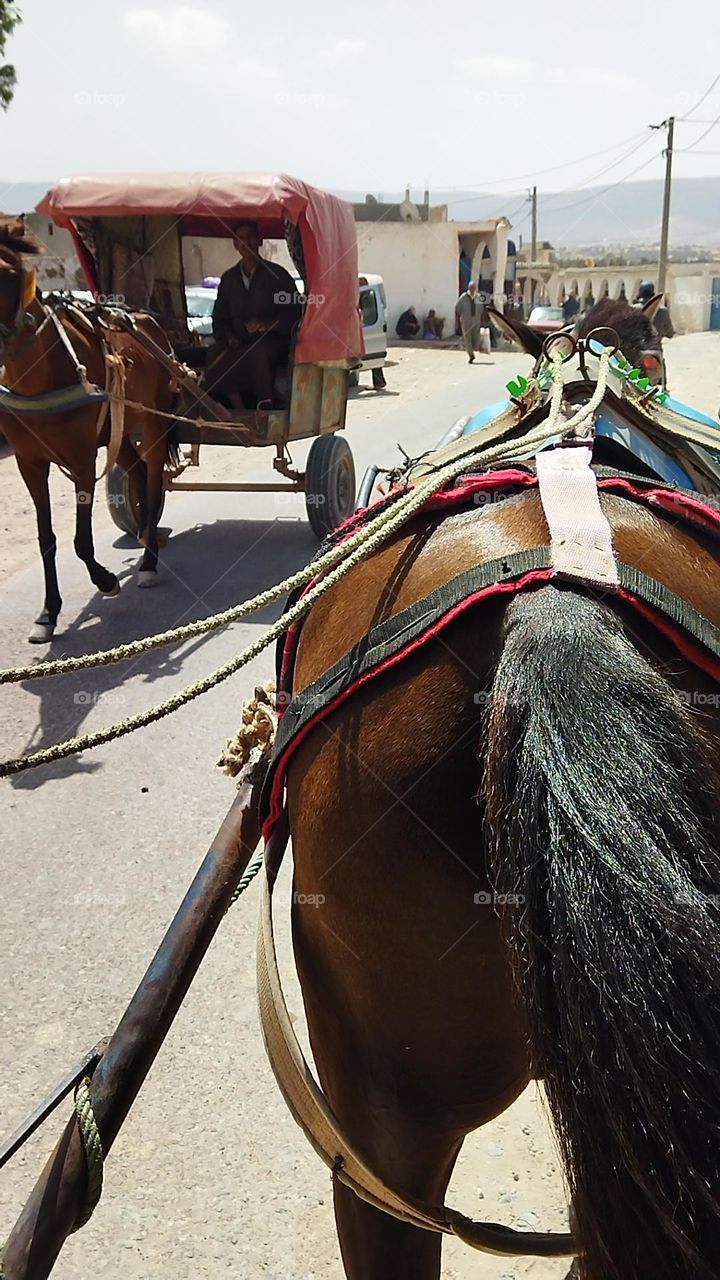 a man riding on a horse