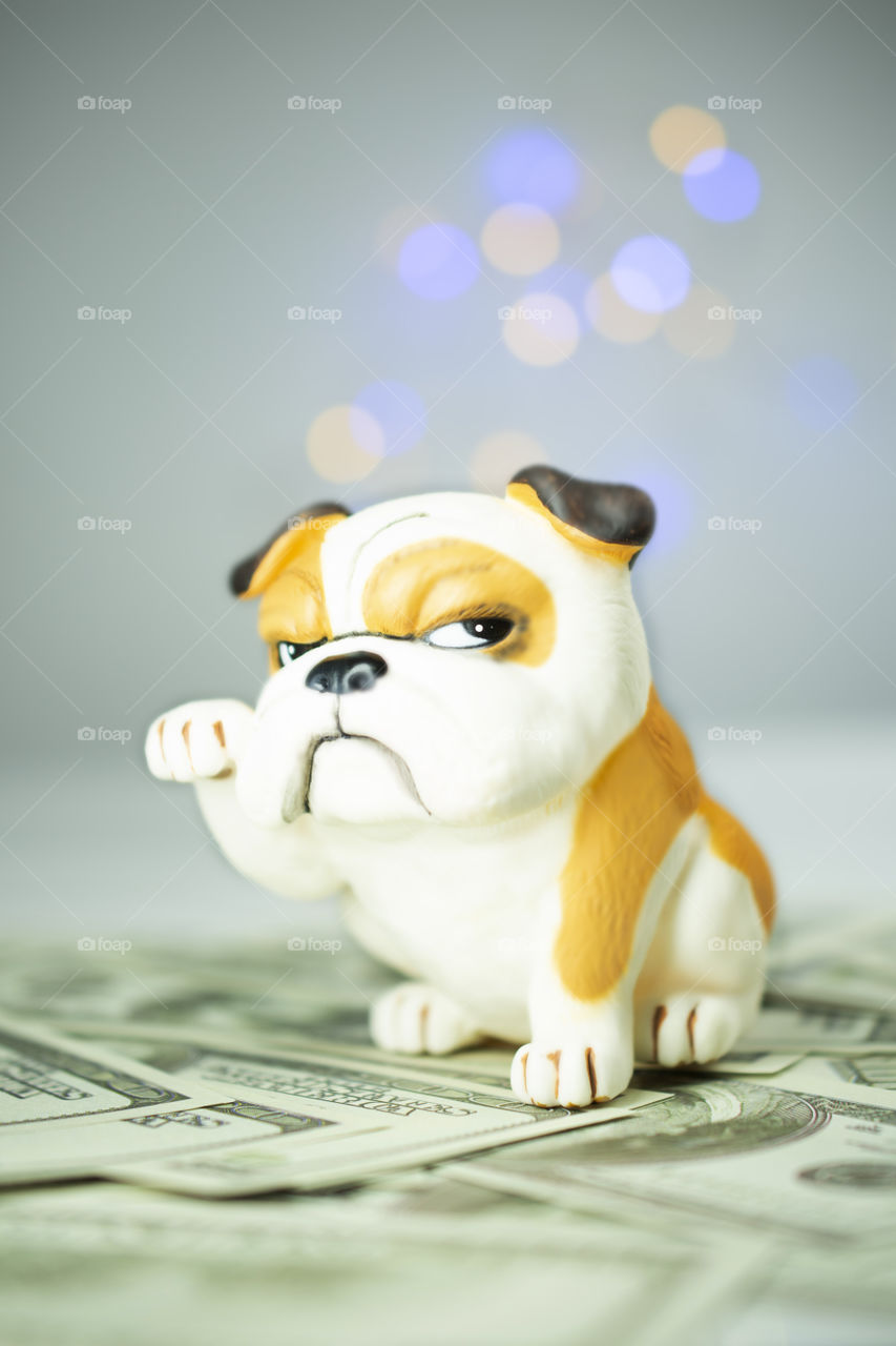 Dog​ on​ bank