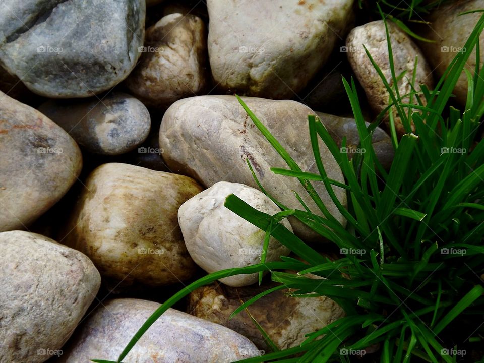 stones&grass