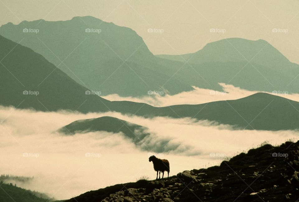 Pyrenees. Above the clouds