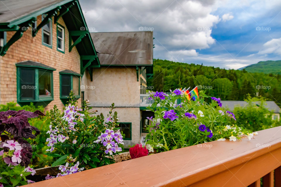 A beautiful colorful day by the white mountains with the flowers in selective focus and the house, trees, and sky in the background.