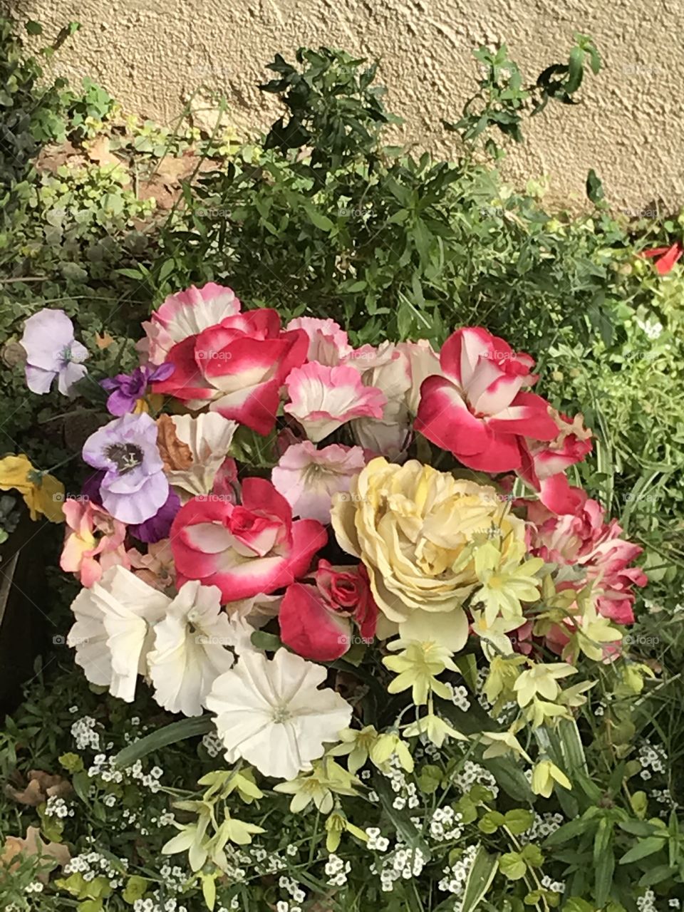 Lovely flowers outdoors the apartment building.