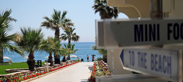 to the beach