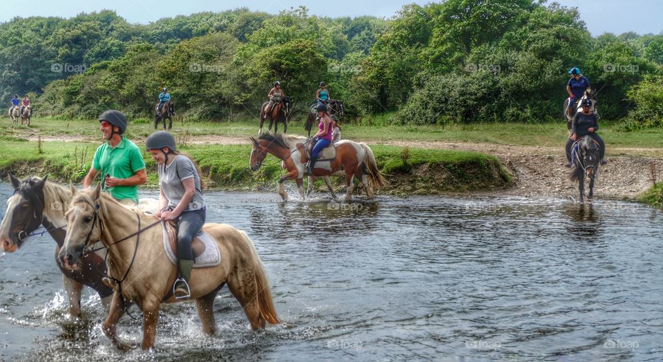 Horse, Race, Motion, Seated, People