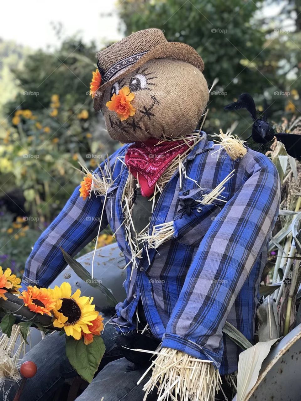 Scarecrow 