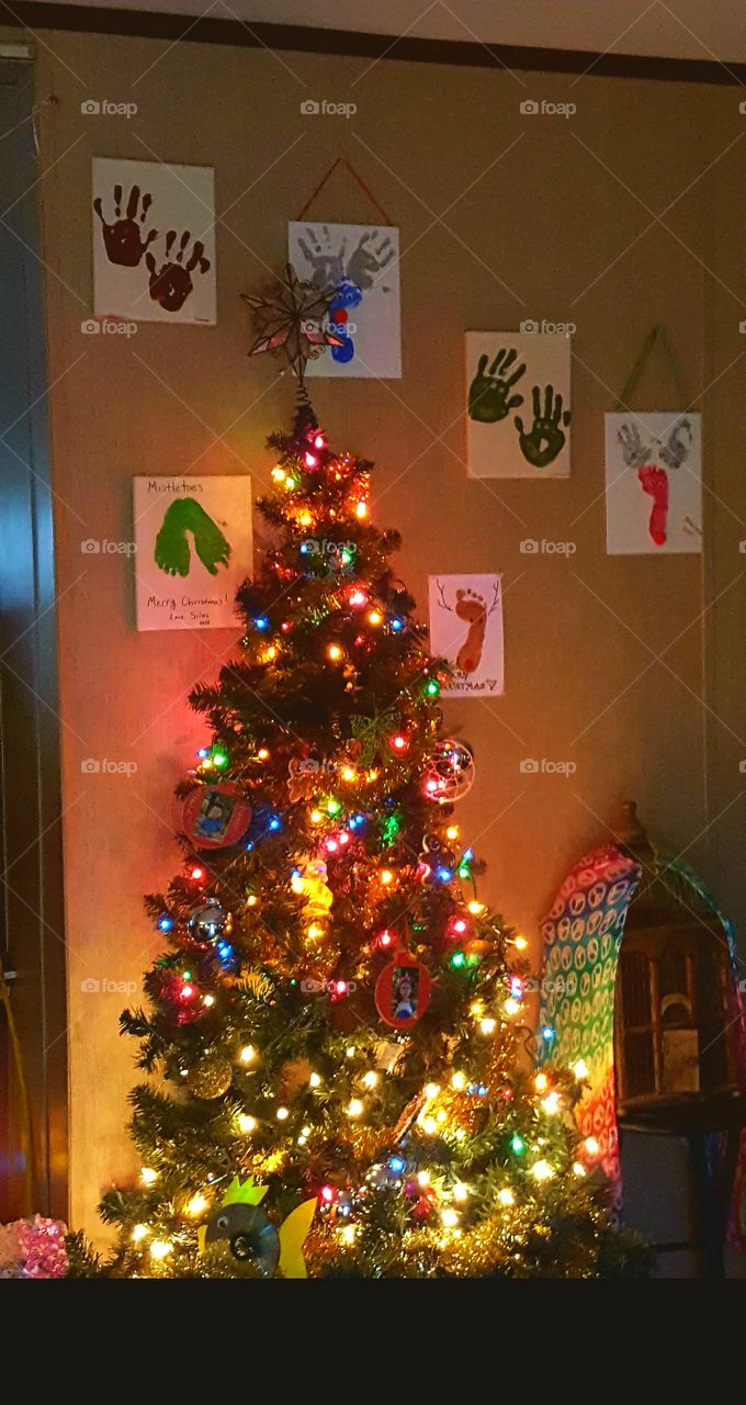 Christmas, Christmas Tree, Winter, Celebration, Tree
