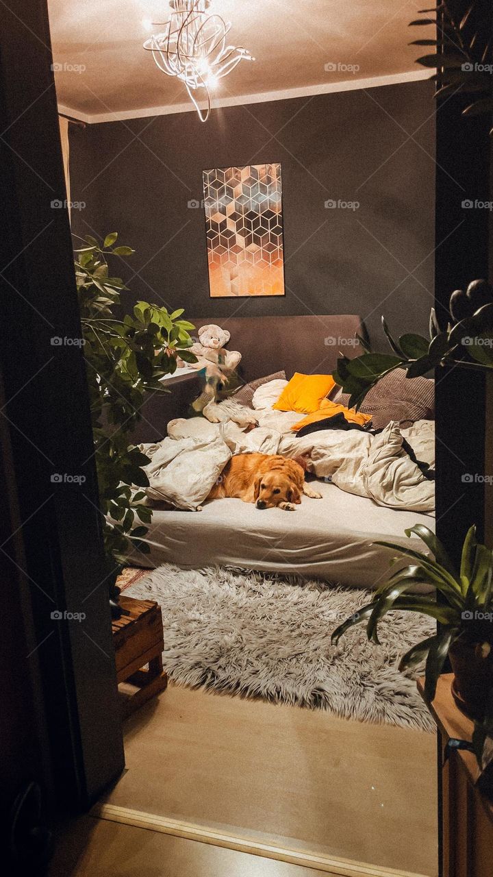 Mattress on the floor 