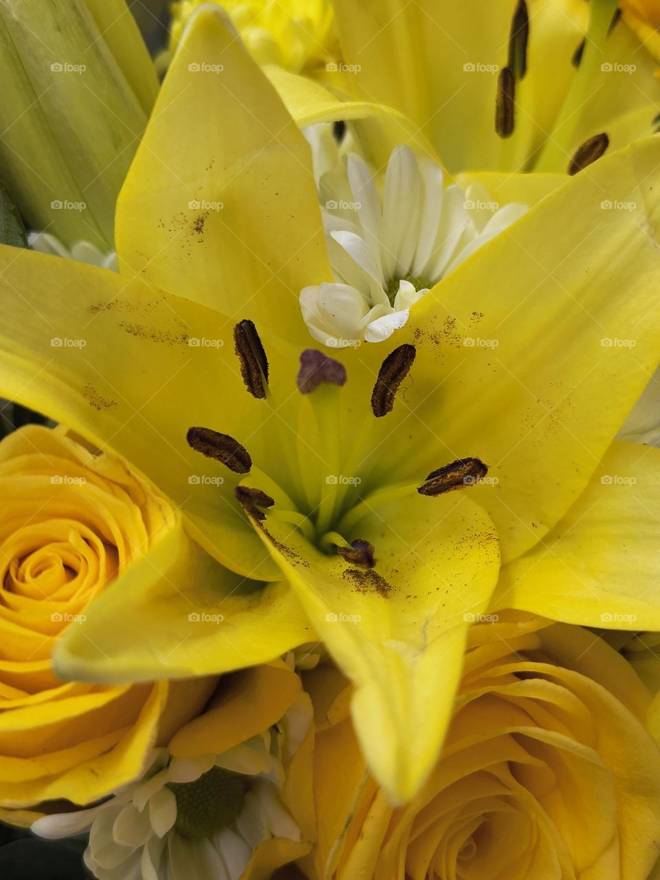 In a colorful rhythm