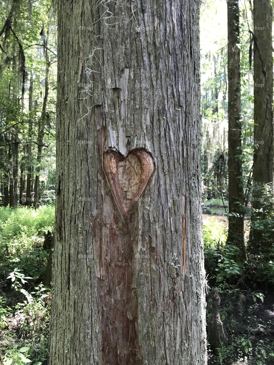 Natural Love