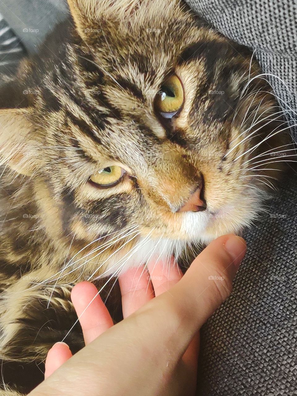 what do you want from me?